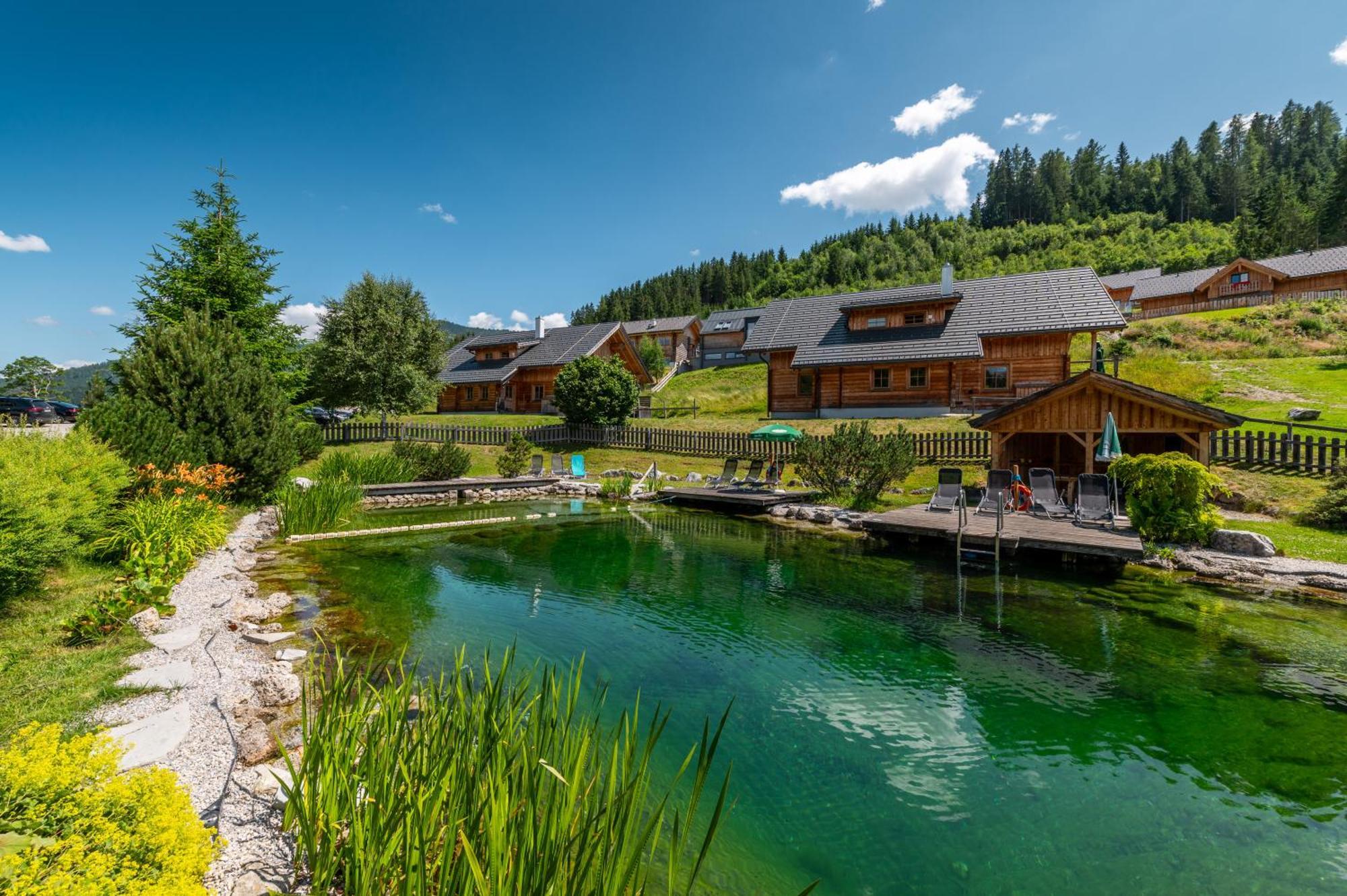 Poolchalet Dachsteinblick Pruggern Luaran gambar